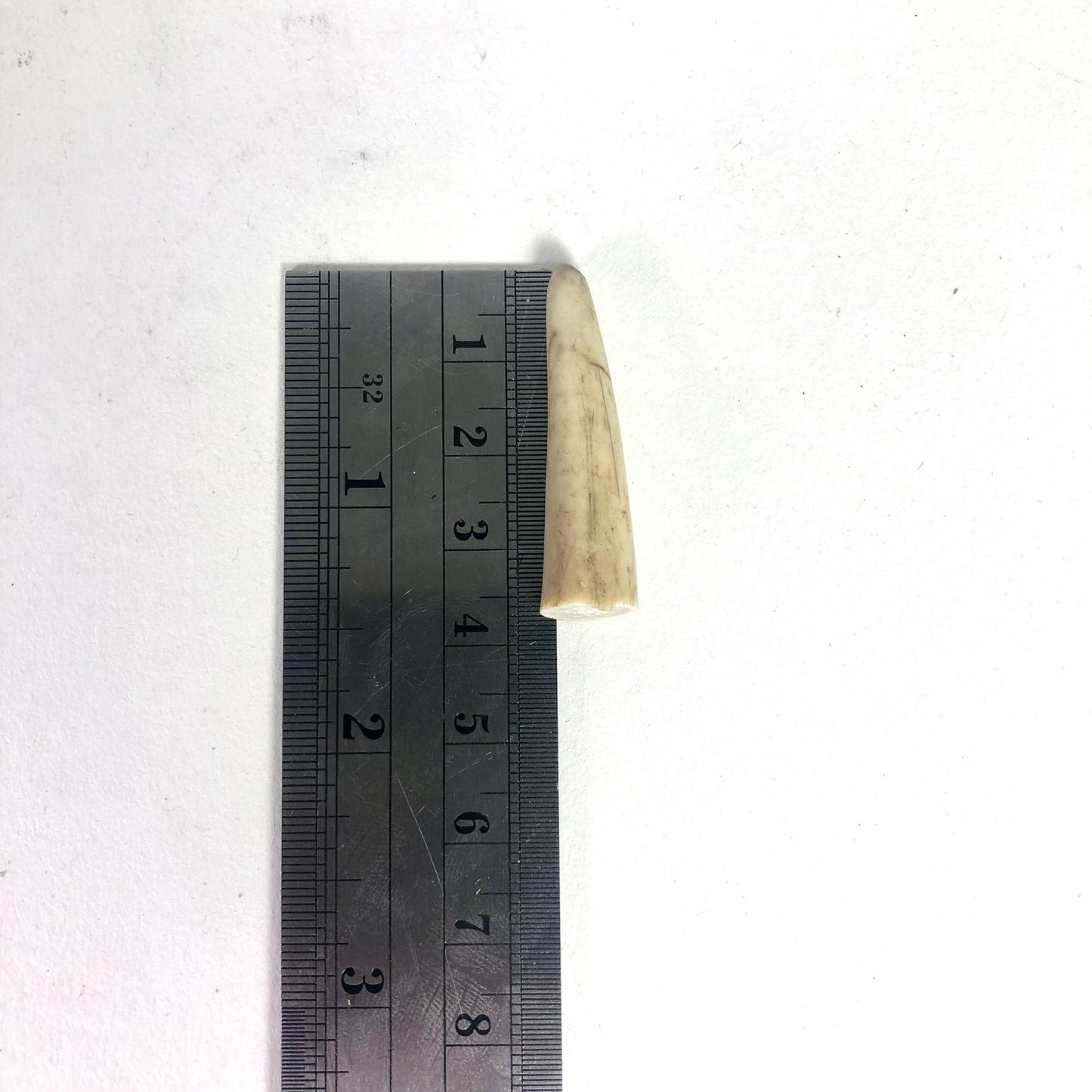 10x Small Deer Antler Tips