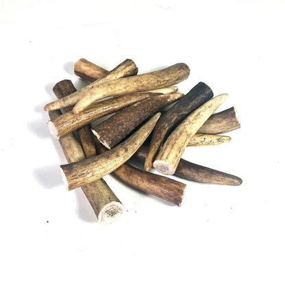 5x Small Deer Antler Tips