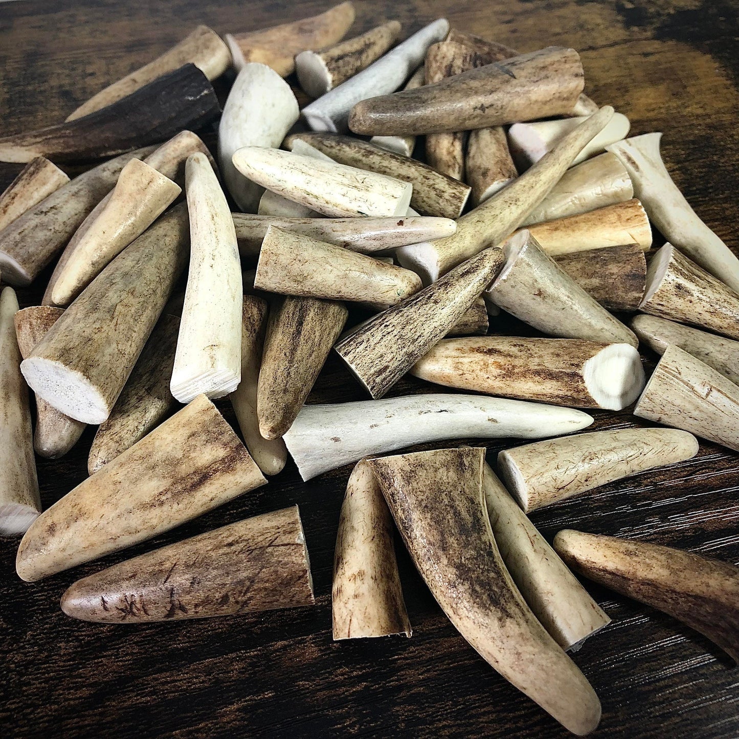 10x Small Deer Antler Tips