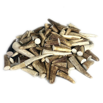 10x Small Deer Antler Tips